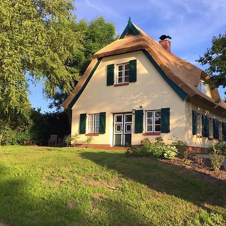 Ferienhaus Preetz 1A - Idylle Unter Reet Burtevitz Dış mekan fotoğraf